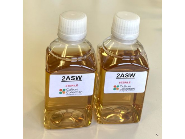 2ASW Medium - 1 LITRE PREMADE