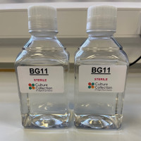 BG11 Medium<br>1 LITRE PREMADE