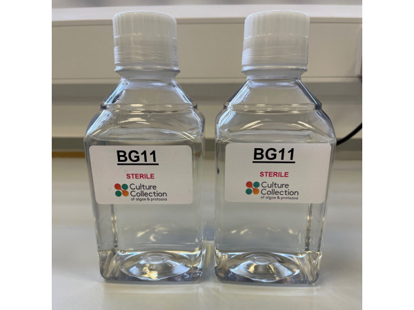 BG11 Medium - 1 LITRE PREMADE