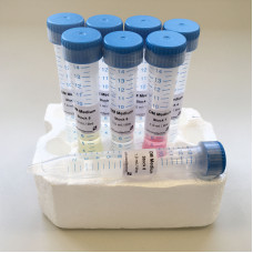 Diatom Medium (DM)<br>CONCENTRATED STOCKS