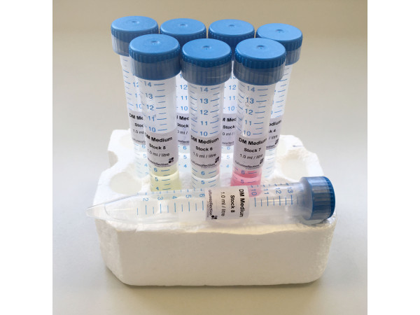 Diatom Medium (DM) - CONCENTRATED STOCKS