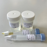 f/2 Quad Medium<br>CONCENTRATED STOCKS