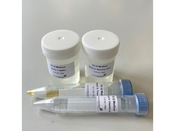 f/2 Quad Medium - CONCENTRATED STOCKS