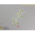 Klebsormidium flaccidum