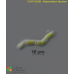 Klebsormidium flaccidum