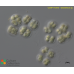 Gloeothece sp.