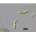 Stichococcus bacillaris