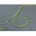 Stigeoclonium farctum Stigeoclonium farctum