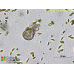 Lecythium margaritae