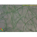 Limnospira fusiformis Limnospira fusiformis