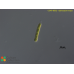 Ophiocytium majus