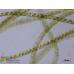 Spirogyra mirabilis