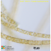 Pylaiella washingtoniensis