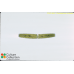Pleurotaenium coronatum
