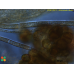 Arthrocladia villosa