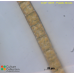 Pylaiella littoralis