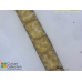 Pylaiella littoralis