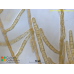 Ectocarpus sp.