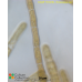 Ectocarpus sp.