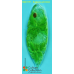 Euglena schmitzii Euglena schmitzii
