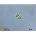 Spongiochloris excentrica