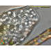 Eurychasma dicksonii