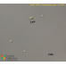 Ostreococcus tauri  - ro GFP3