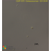 Ostreococcus tauri  - CK1-OX #4