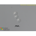 Acanthamoeba castellanii  