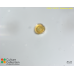 Peridinium willei