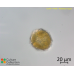 Peridinium bipes