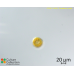 Peridinium volzii