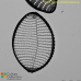 Grammonema sp.