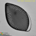 Synedropsis cf. recta