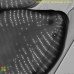 Synedropsis cf. recta