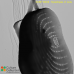 Synedropsis cf. recta