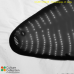 Synedropsis cf. recta