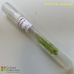 Spirogyra sp.