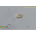 Prymnesium parvum