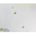 Radiococcus polycoccus