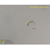 Euglena van-goori