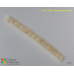 Bacteriastrum hyalinum