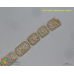 Bacteriastrum hyalinum