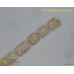 Bacteriastrum hyalinum