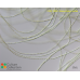 Klebsormidium subtile