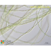 Klebsormidium subtile