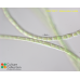 Klebsormidium subtile