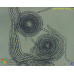 Nostoc sp.