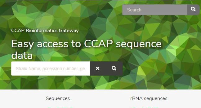Bioinformatics Gateway