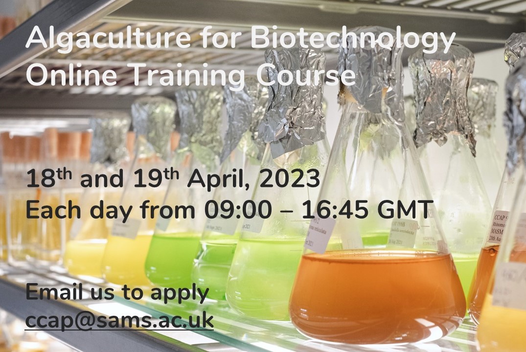 Photo of algae in flasks overlaid with text advertising Algaculture for Biotechnology Online Training Course